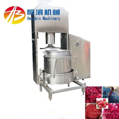 Prensa de jugadores hidráulicos de 3 kW para la producción de fresa, limón, manzana, plátano y pera