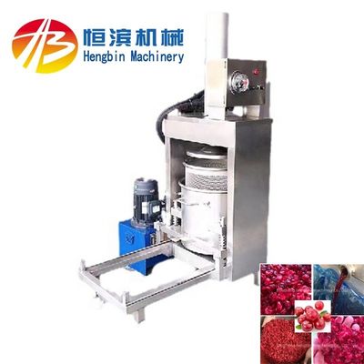 200 kg/h Máquina de prensa para extracción de jugo de piña y plátano