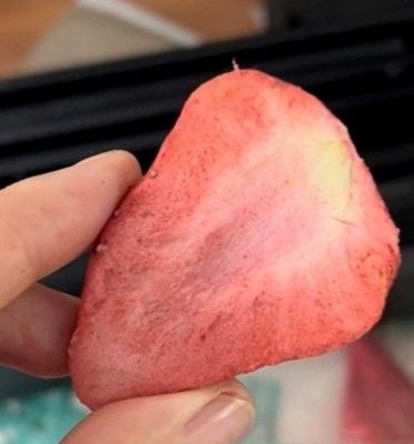 10 kg por lote Secador de congelación al vacío para el procesamiento a gran escala de frutas y hortalizas