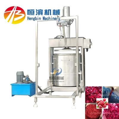Fácil de operar 300L extractor de jugo puro comercial Prensa hidráulica de frío para una alta productividad