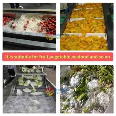 Máquina de limpieza industrial de frutas y mariscos con tecnología avanzada de lavado por burbujas