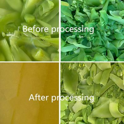 SUS304 Exprimidor hidráulico a presión fría para extracción de jugo de frutas y verduras