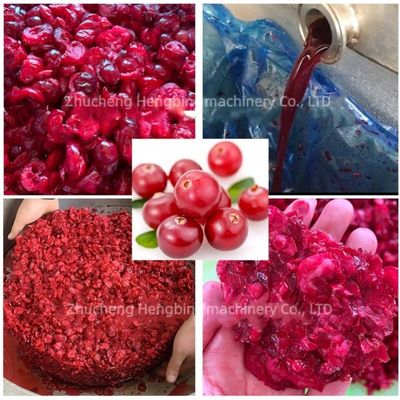 Exprimidor hidráulico de granadas, leche de coco y otras frutas 400 kg
