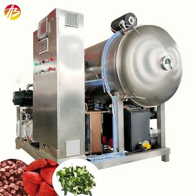 Máquina de secado por congelación con vacío de frutas y verduras con área de paleta de 21 metros cuadrados