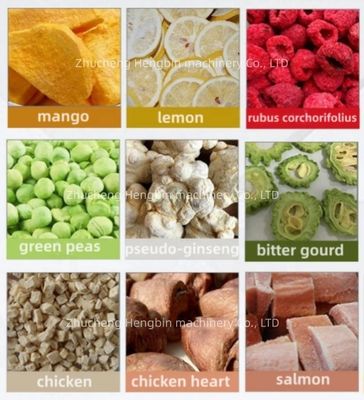 Máquina de secado por congelación con vacío de frutas y verduras con área de paleta de 21 metros cuadrados