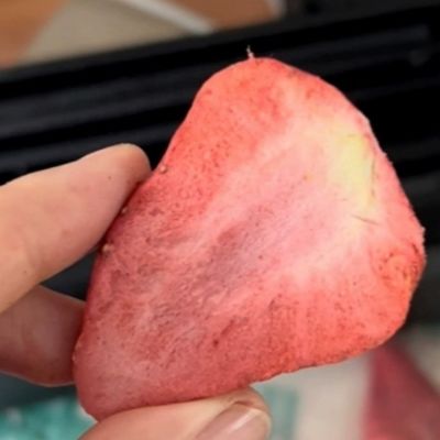 Máquina de congelación y secado comercial para alimentos Frutas Café Azúcar Dulces Carne Pescado y verduras